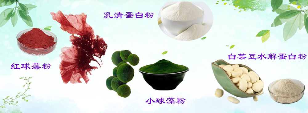 高品質 低價格 產品種類豐富