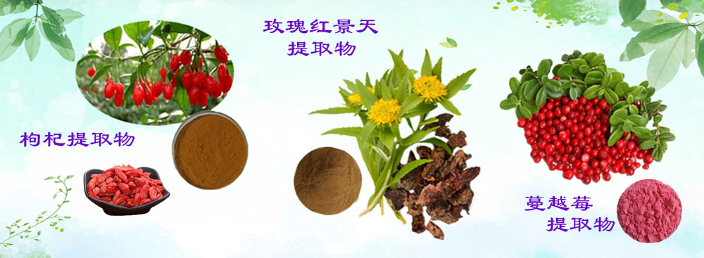 大企業的業績 和XX企業有很好的合作關系
